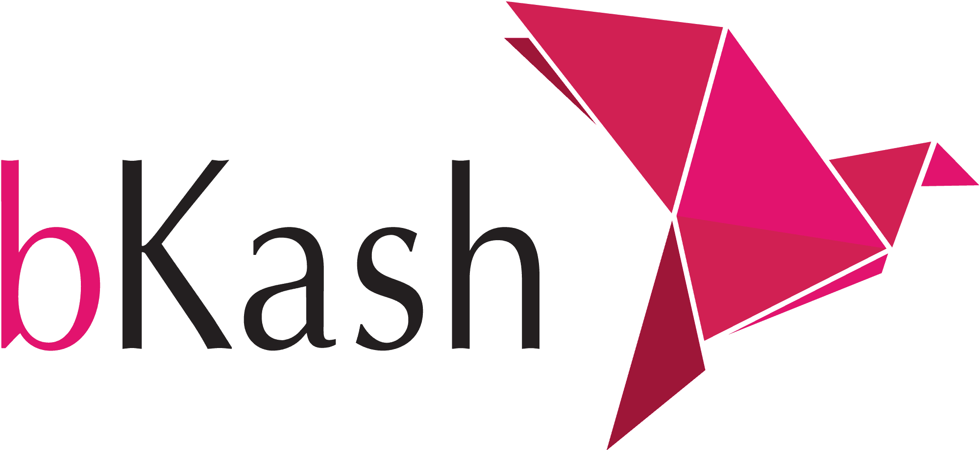 bKash Payment Partner